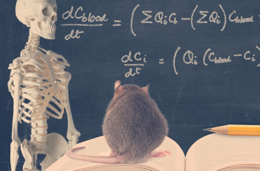 How Math Could Make Bones Stronger