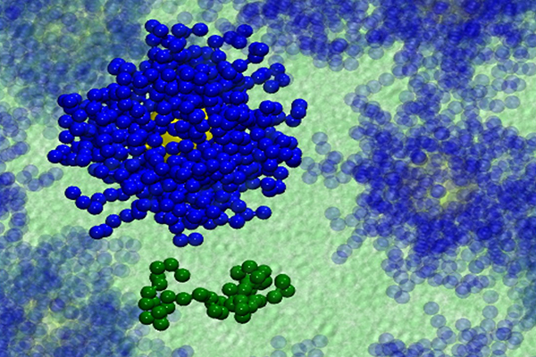 Tuning polymer interpenetration