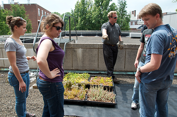 people around a rooftop garden