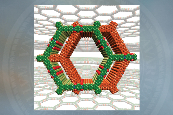 Organic zeolites