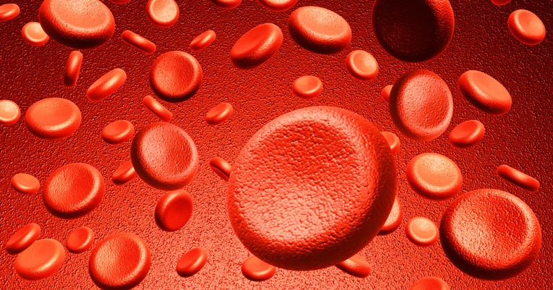 Blood Cells