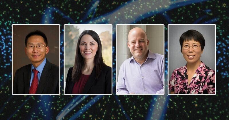 FOUR ENGINEERING PROFESSORS HONORED