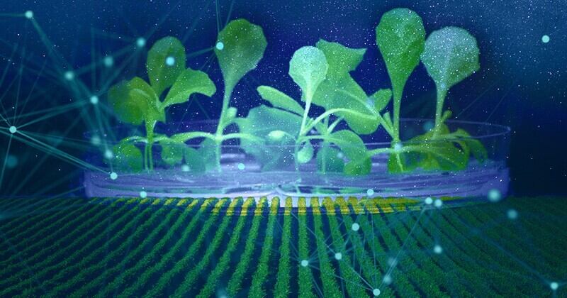 ARTIFICIAL PHOTOSYNTHESIS