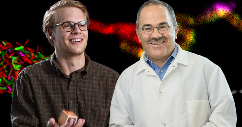 Observing microbial communities